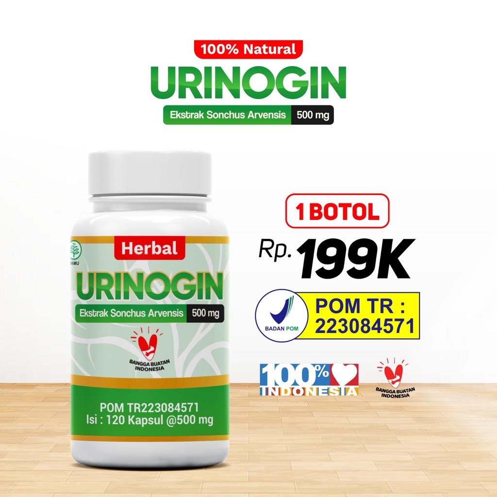 URINOGIN Herbal Kesehatan Ginjal Kencing Batu Peluruh Batu Ginjal