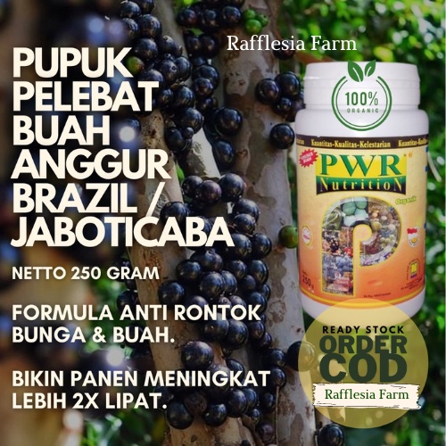 Pupuk Booster Anggur Brazil / Pupuk Anggur Generatif / Pupuk Anggur Brazil Cepat Berbuah / Pupuk Ang