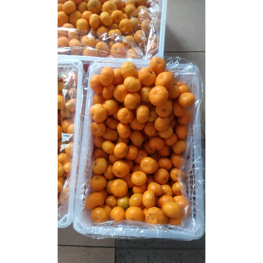 Indukbuah Buah Jeruk Santang Madu Santang Birma Santang polos Manis 1 Keranjang krat