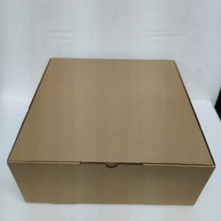 

Box Karton Polos 25x25x5cm -10pcs
