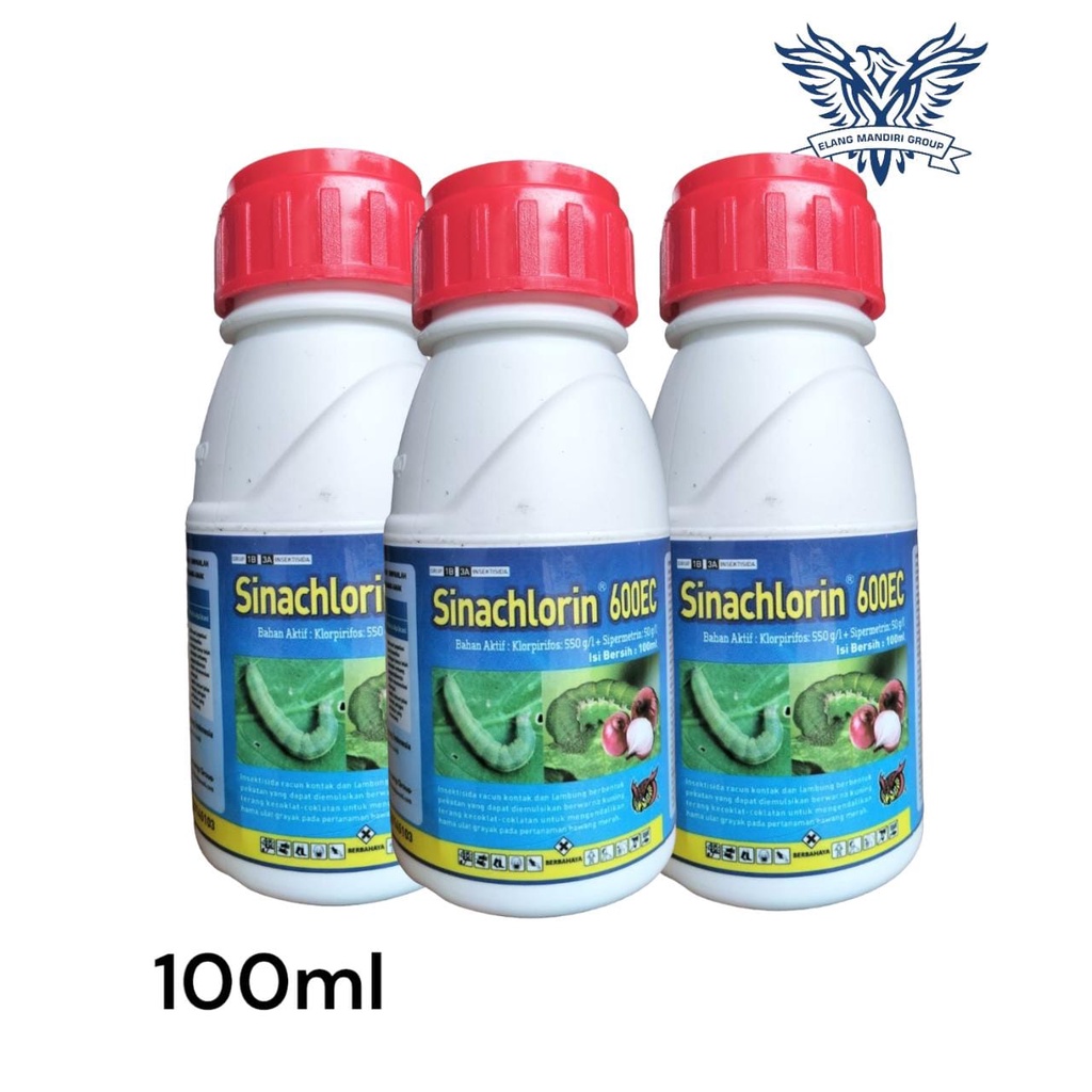 Insektisida SINACHLORIN 600 EC 100 ML Bahan aktif Klorpirifos 550 g/l Dan Sipermetrin 50 g/l Pembasmi Hama Ulat Grayak PT.Sinamyang Group STARBAN