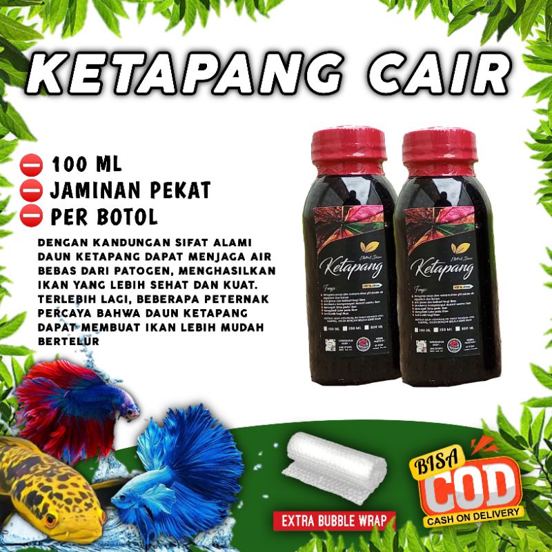 Ketapang Cair Pekat Ekstrak daun Ketapang 100ml