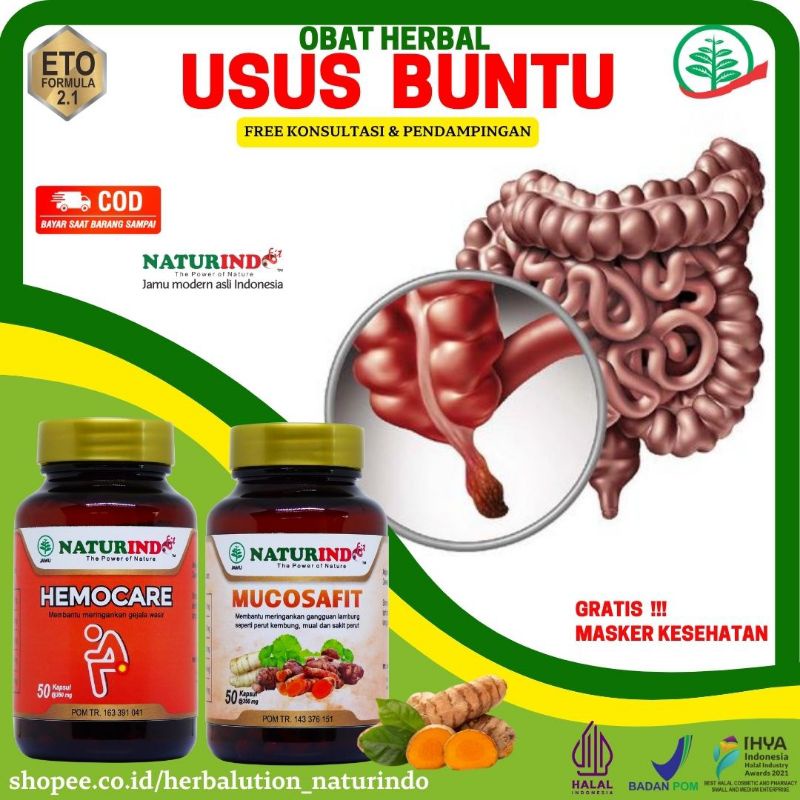 Obat Usus Buntu Tanpa Operasi Radang Usus Besar Infeksi Usus Buntu Besar Obat Pencernaan Kontipasi H