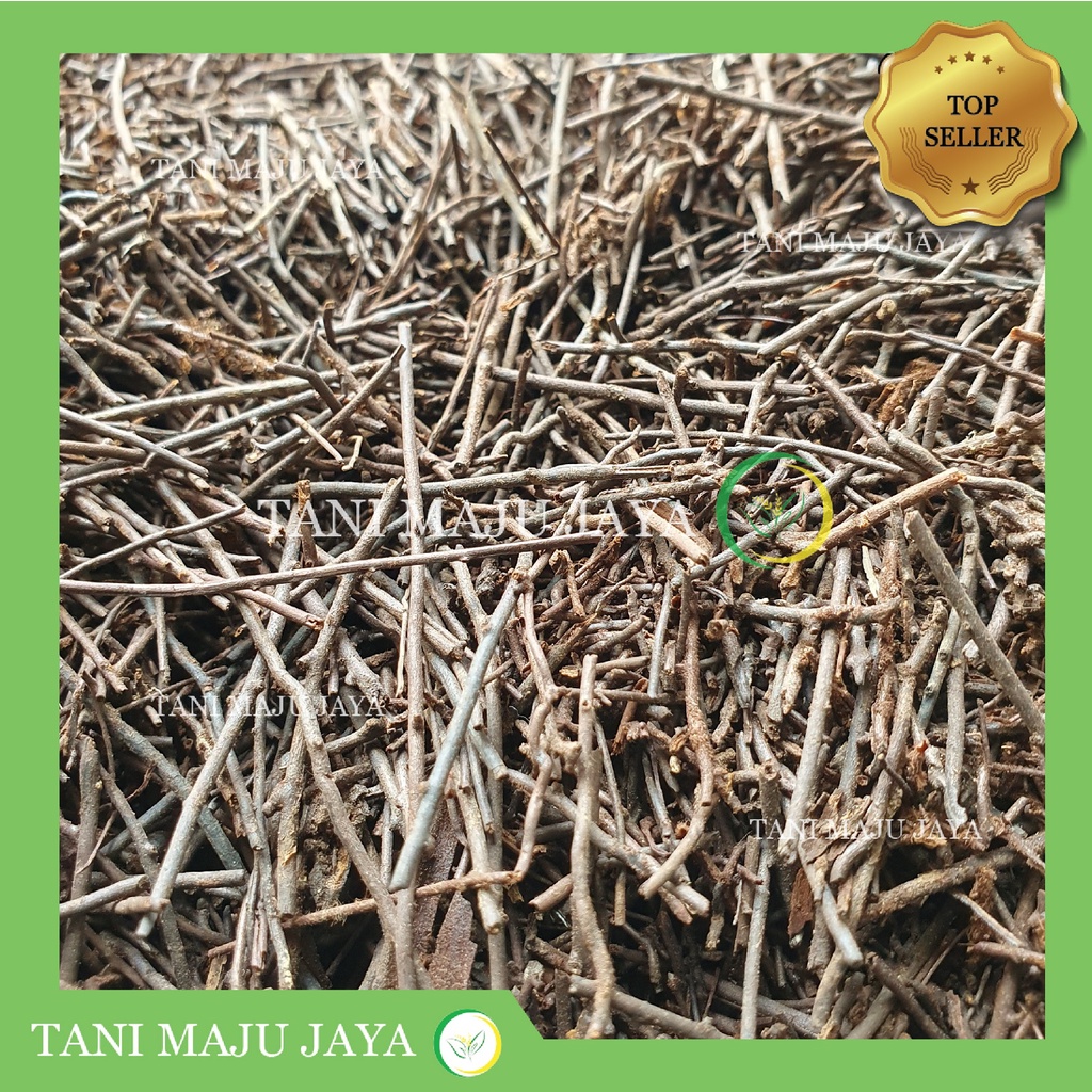 Media Tanam Akar Pakis Cacah Steril 1 KG Aglonema Anggrek