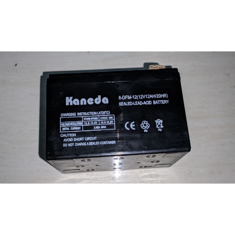 Aki kering sprayer elektrik Kaneda