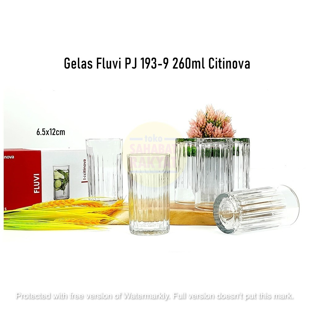 [6pcs] Gelas Fluvi PJ 193-9 Citinova