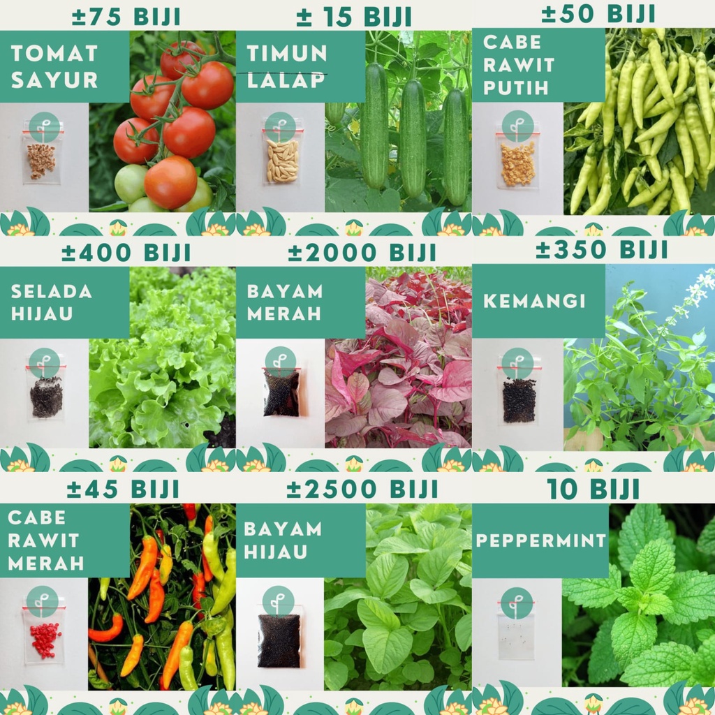 FANSTORE_PKU / COD Benih Bibit Timun Baby Semi Peppermint Lemon Balm Herbal Daun Mint Tanaman Hidrop