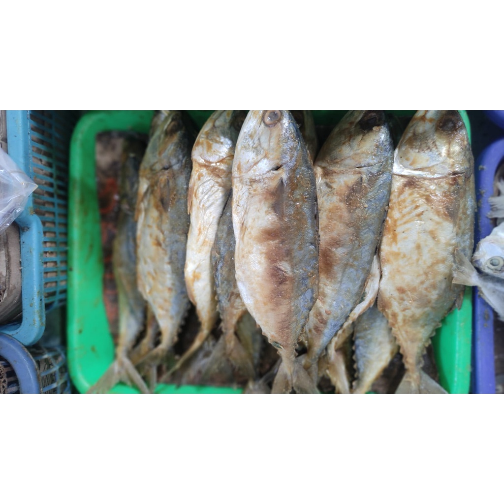 

IKAN ASIN PEDA MERAH JUMBO