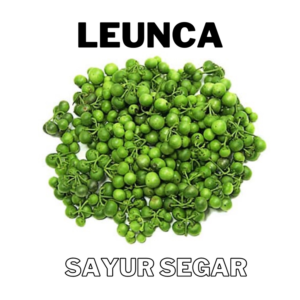 

LEUNCA LALAPAN & TUMISAN SERBA 5K - 10K