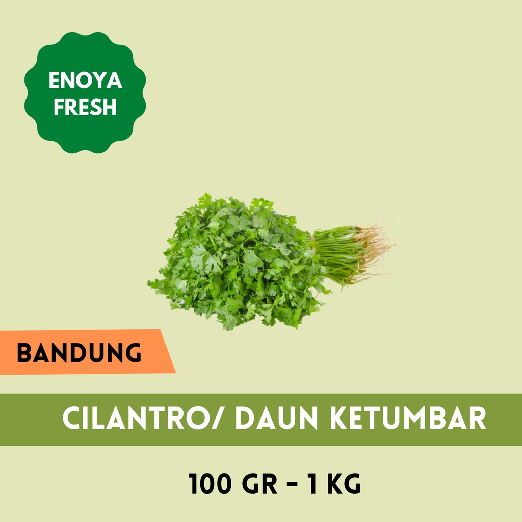 

Daun Ketumbar / Cilantro 100gr - 1 kg Bandung