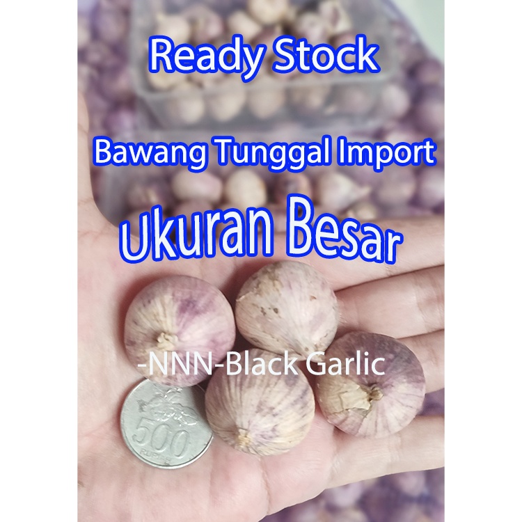 

Bawang Lanang / Tunggal Fresh 250gr Besar