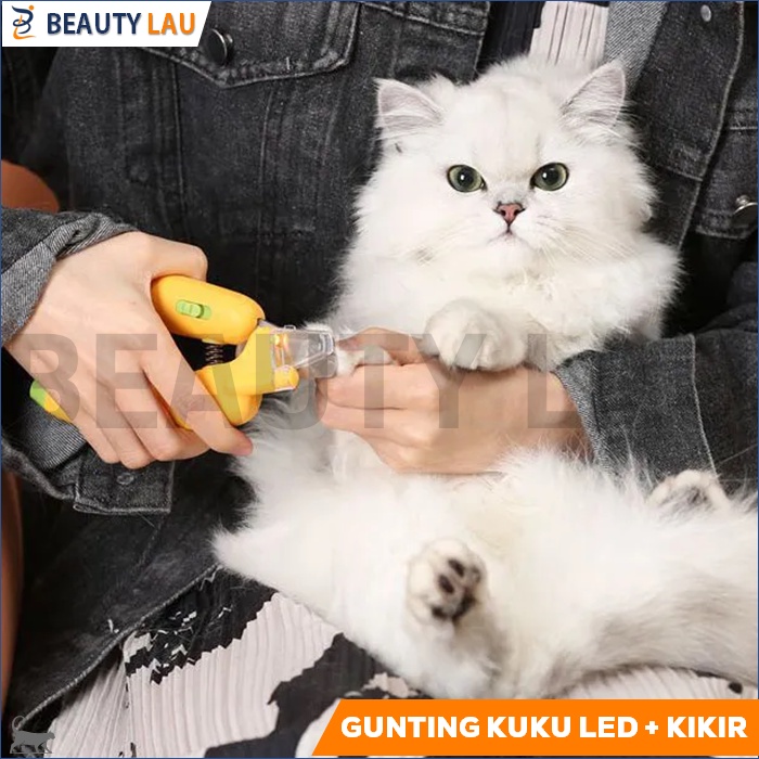 GUNTING KUKU KUCING ANJING LED UV LIGHT PREMIUM + KIKIR KUKU KUCING ANJING PET NAIL CLIPPER