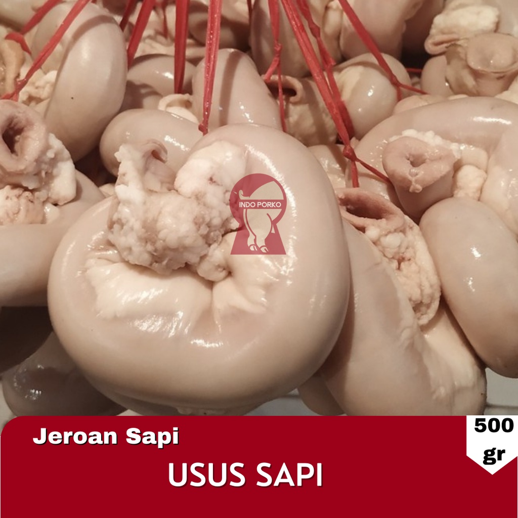 

Jeroan Usus Pendek Sapi iso Tamusu Tambusu