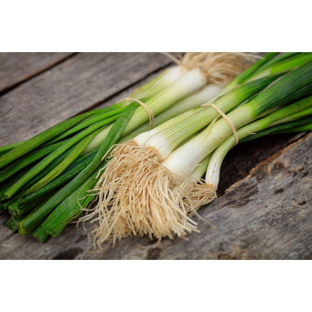 

Daun Bawang Pre Segar,fres 1 ikat