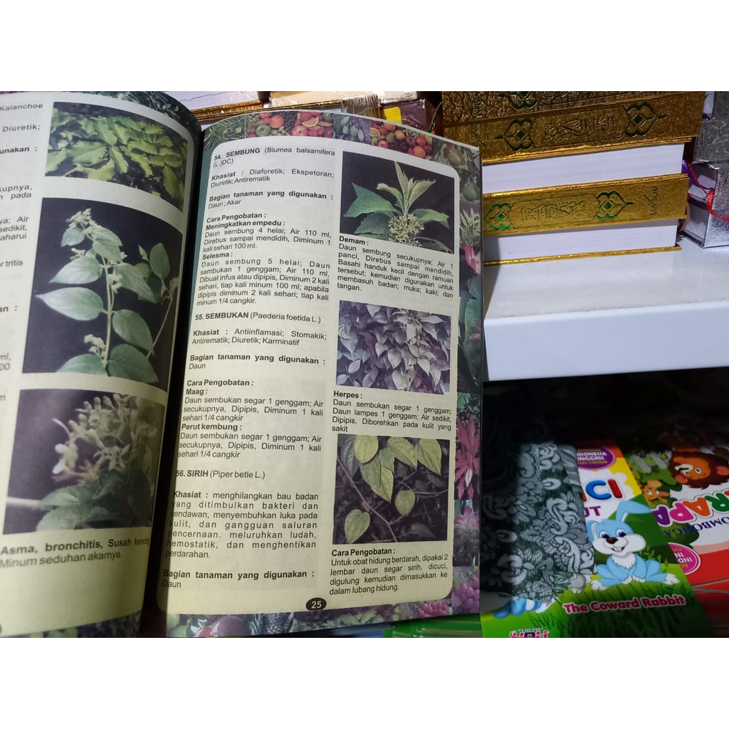 Buku Penyembuhan Alami dengan Herbal dan Pijat Refleksi DM