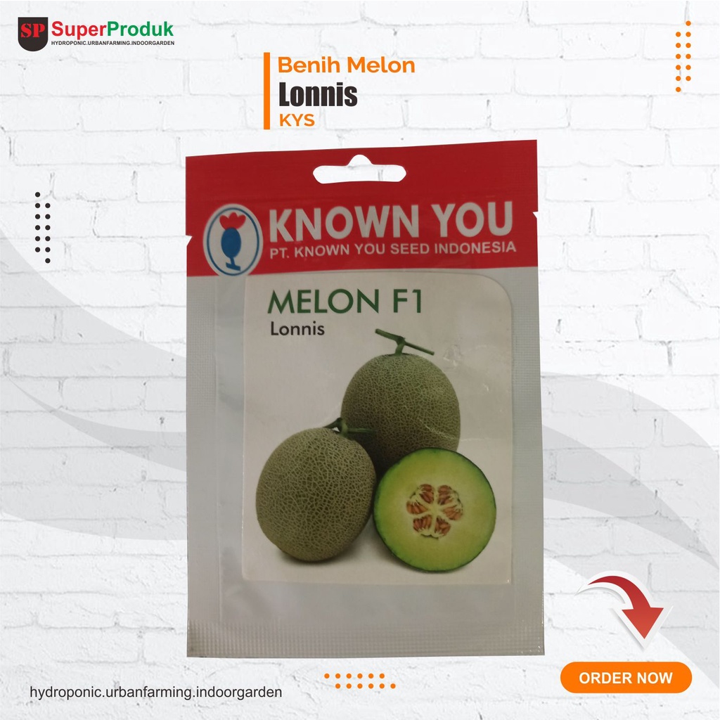 Benih Melon Lonnis Melon Hijau Known you seed