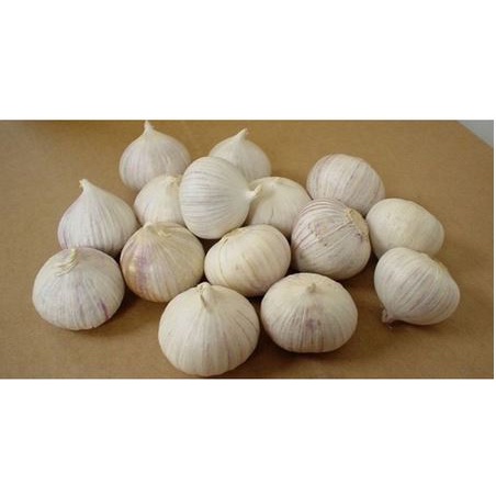 

Bawang Putih Tunggal Premium 500gr ( Bukan Bawang Kating )