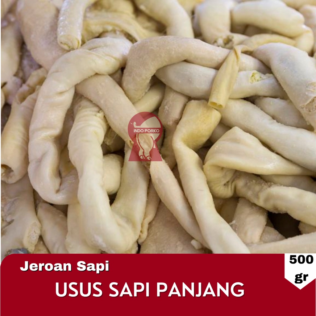 

Iso Usus Sapi Panjang