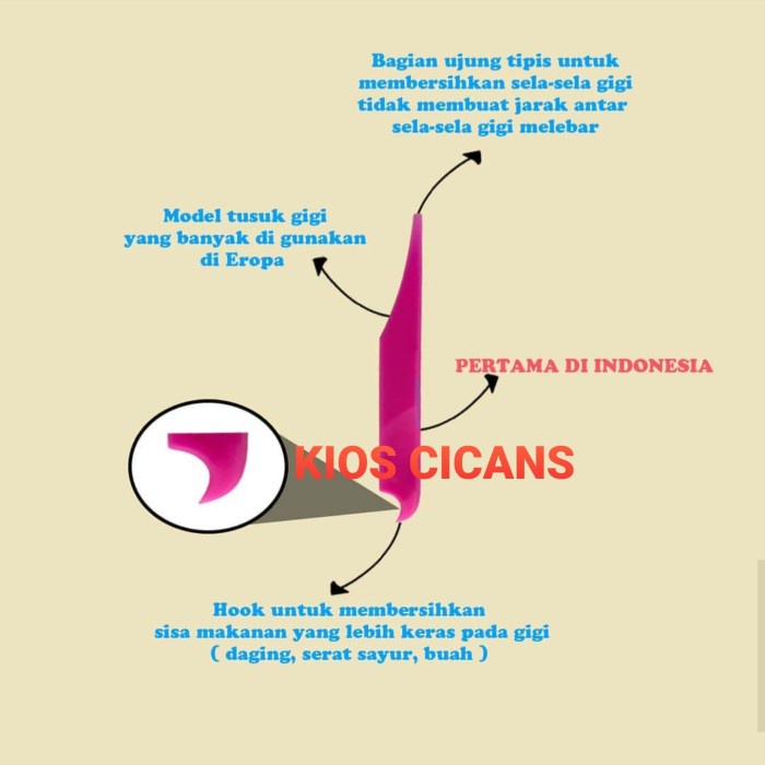 Terlaris Tusuk Gigi Plastik Sikat Brush Dental Floosing Model Eropa Flosh Pick