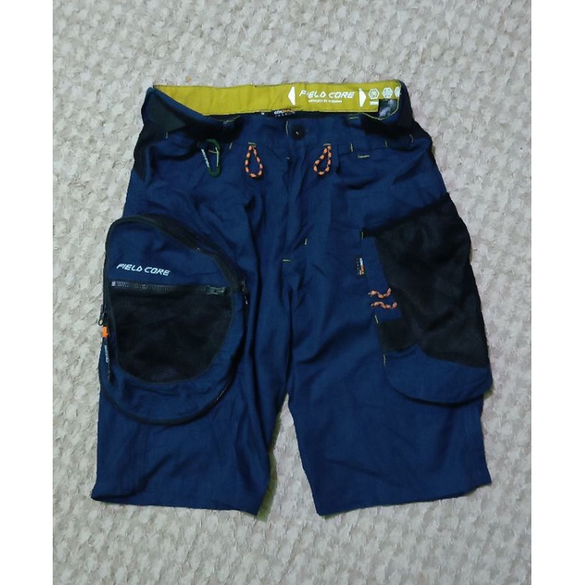 cargo fieldcore