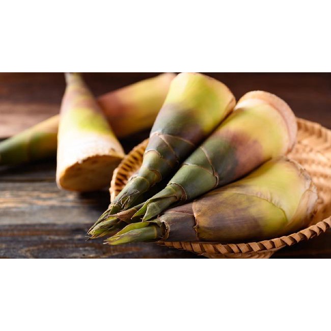 

Rebung Bambu Muda per-biji