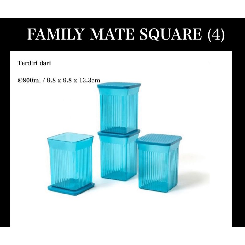 TOPLES PLASTIK TOPLES TUPPERWARE TOPLES KUE TOPLES PLASTIK MURAH TOPLES LEBARAN