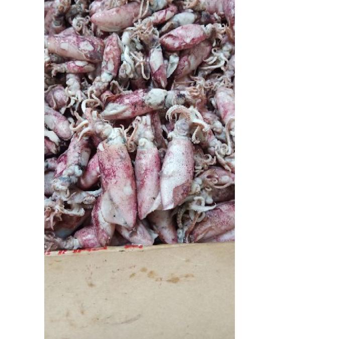 

▼ Cumi asin 1kg Termurah/cumi asin rebus/ikan asin cumi ♕