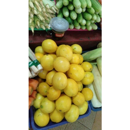 

Jeruk lemon