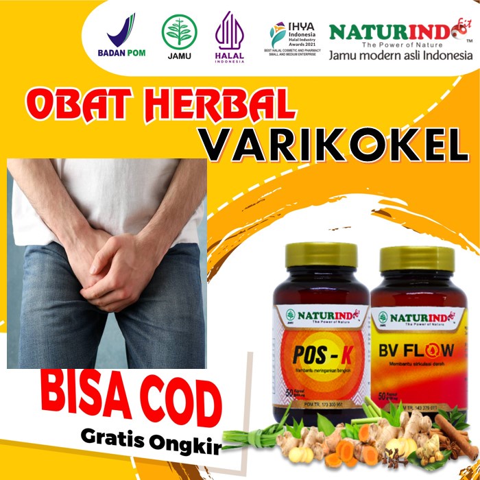 Obat Varikokel Buah Zakar Bengkak Nyeri Testis Turun Berok Hernia