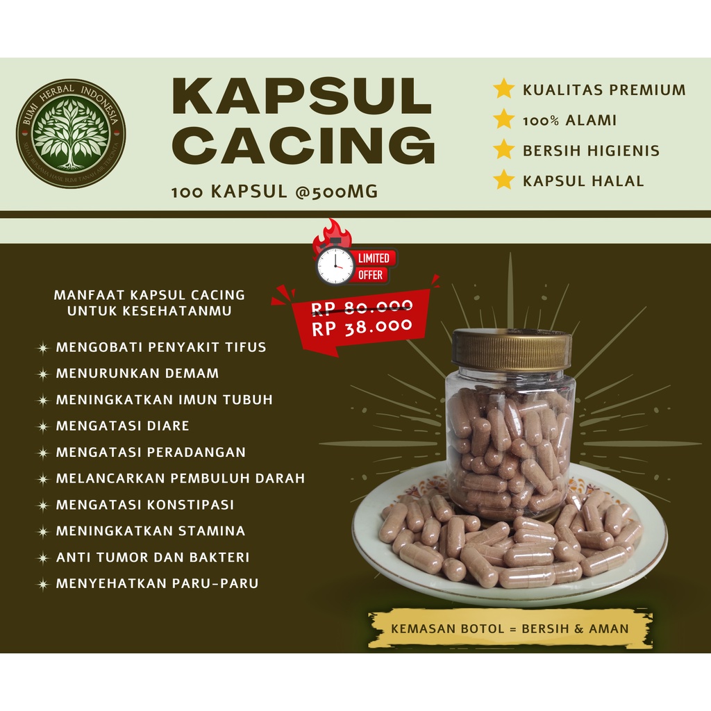 Kapsul Cacing Curah 100 Kapsul Lumbricus Rubellus