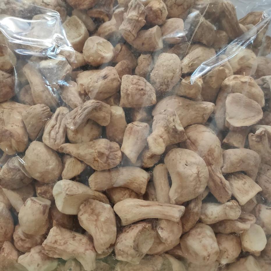 

☄ 500gr Kaki r Kering Premium - Dried Mushroom Stem - Kaki r Hioco ✿