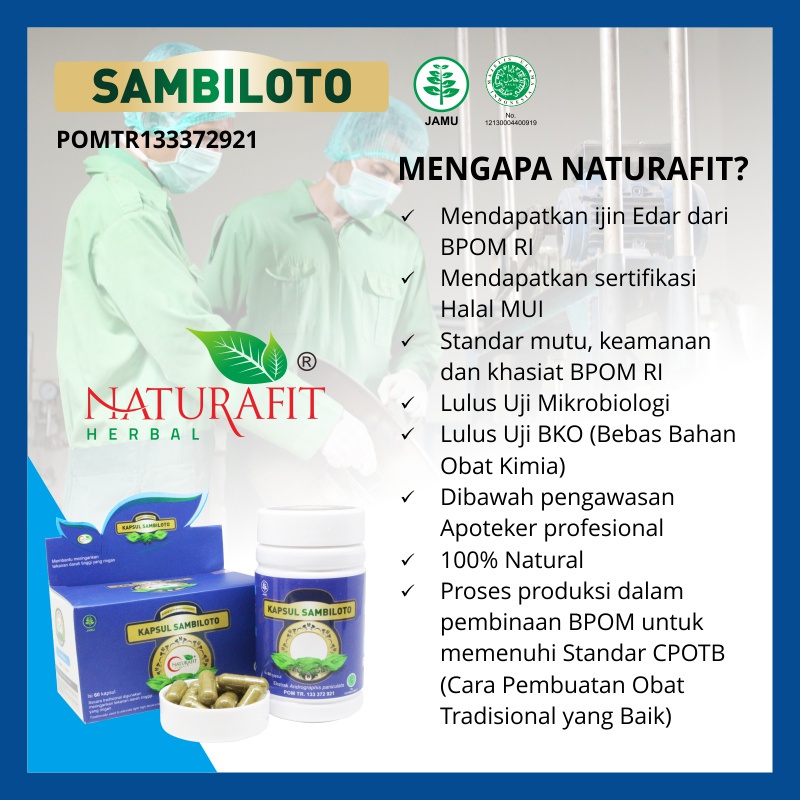 Kapsul SAMBILOTO Naturafit | Obat Herbal Darah Tinggi Hipertensi Meredakan Peradangan Demam Flu BPOM