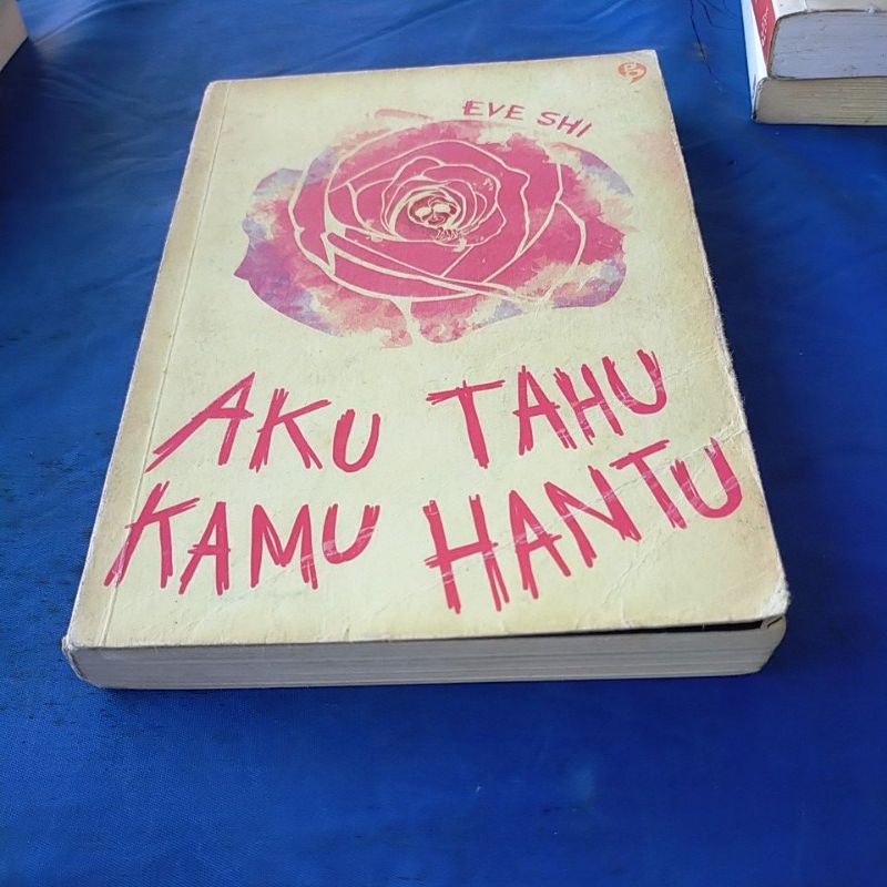 

buku aku tahu kamu hantu