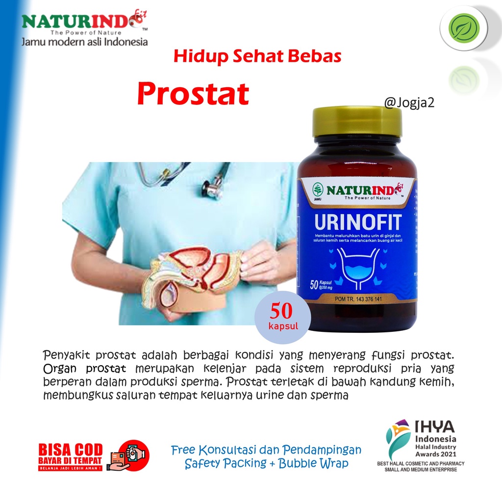 Obat Herbal Prostat Urinofit Kandung Kemih Ginjal Anyang Anyangan Urinofit Naturindo