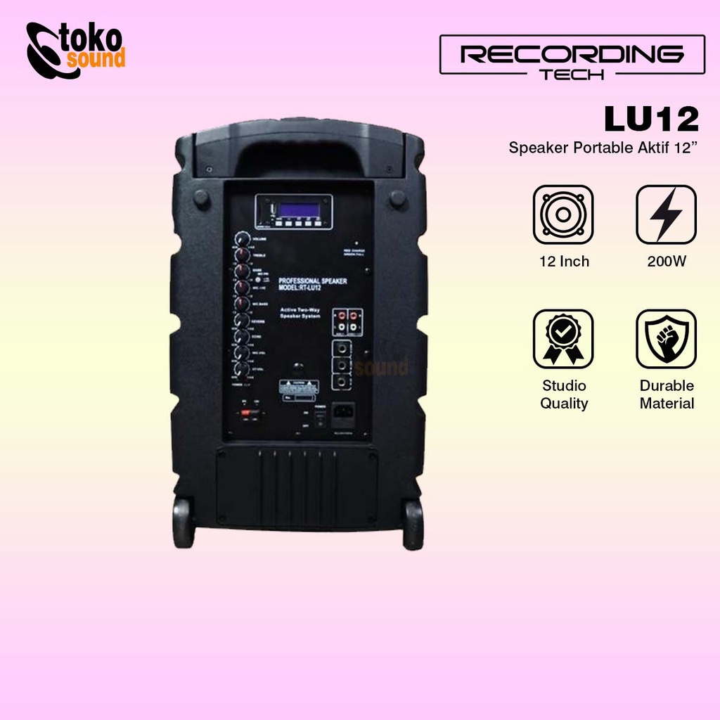 Recording Tech RT LU12-10 Portable Speaker 2 Mic Wireless Battery