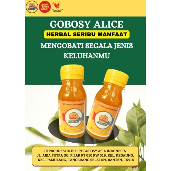 Obat Sifilis Gobosy Alice 6 botol