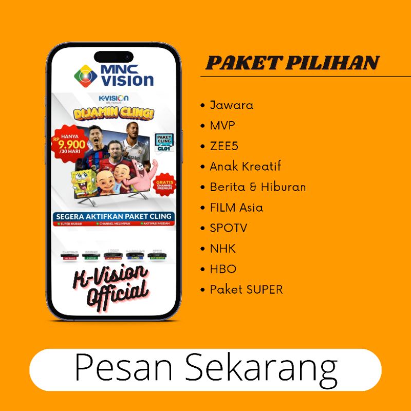 PAKET MNC VISION