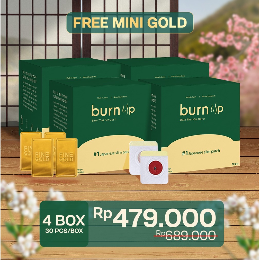 Burn Up 4box Free MINI GOLD