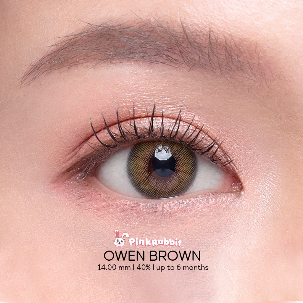 PINKRABBIT Softlens Owen Brown (Normal, Minus 0.5 s/d 10.00)