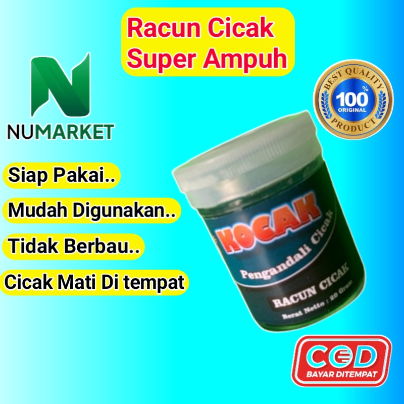 RACUN PEMBASMI CICAK OBAT PEMBASMI CICAK PALING AMPUH ORIGINAL