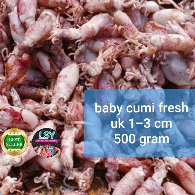 

➬ ikan asin baby cumi / cumi asin / cumi rebus 78 berat 500gram ✺