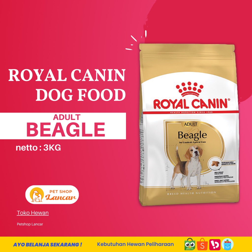 Royal Canin Beagle Adult Makanan Anjing Dewasa Dry 3kg