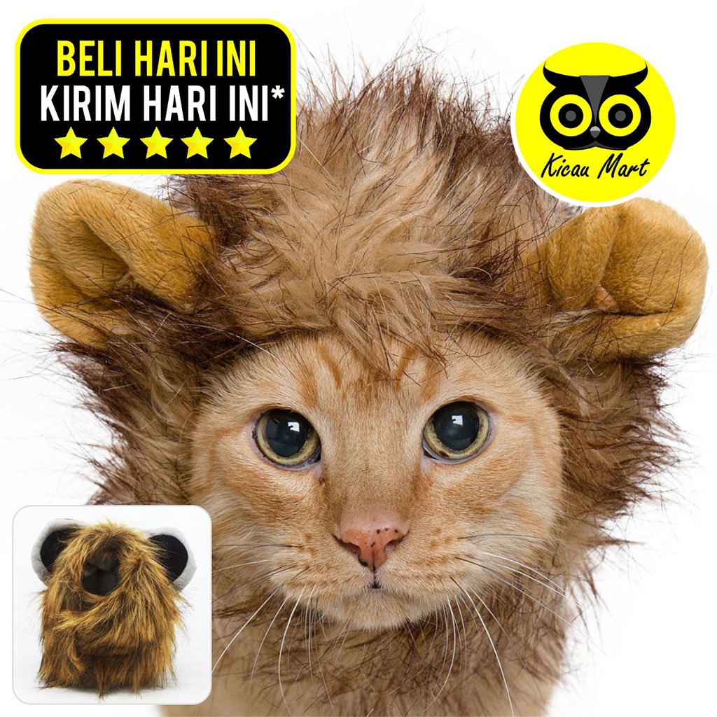 Topi Kupluk Kucing Anjing Hewan Peliharaan Model Wig Rambut Singa Dengan Telinga Kostum Anabul Pet Cap Lion Hair Pakaian Baju Kucing Anjing Monyet Kitten Anabul