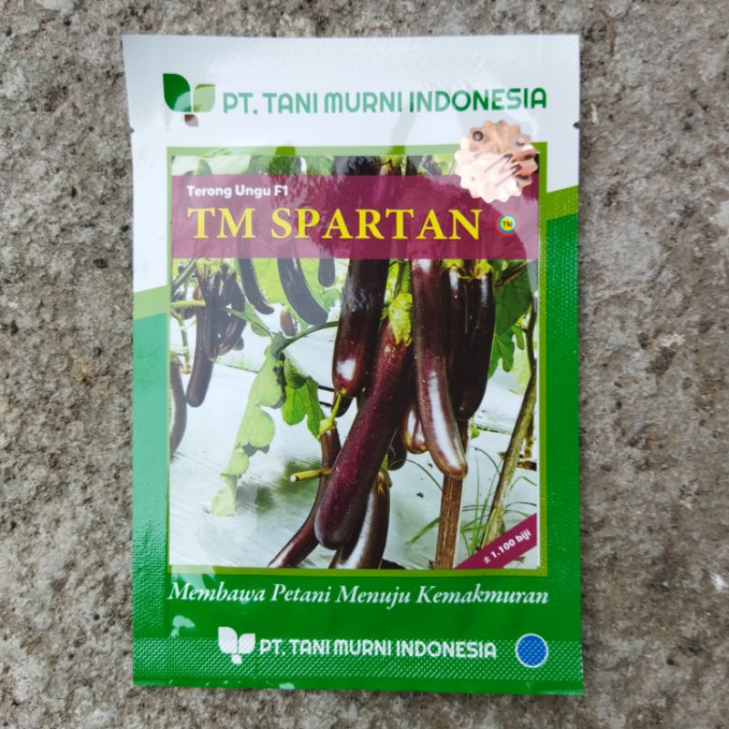 BENIH TERONG UNGU TM SPARTAN F1 ±1.100 BIJI
