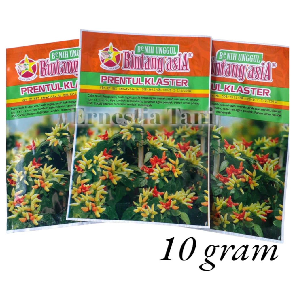 Benih Bibit Cabe Rawit Prentul klaster 10gr Bintang Asia