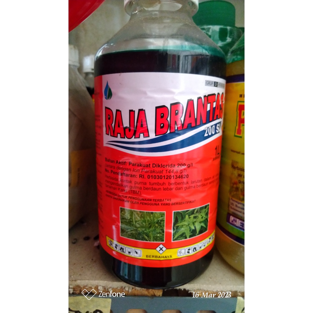 RAJA BRANTAS 200 SL HERBISIDA
