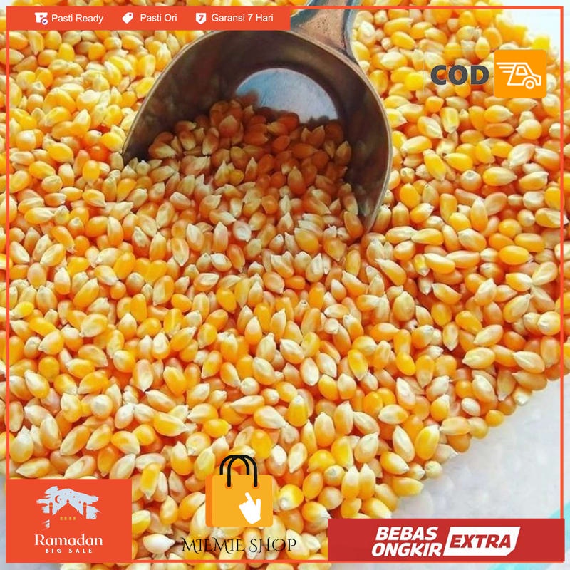 

Jagung popcorn mentah 1 Kg anti bantet