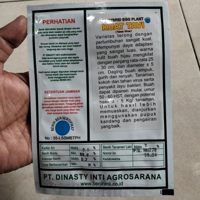 Bibit Terong Hijau KUAT TAVI F1 5gr - Benih Terong Hijau KUAT TAVI