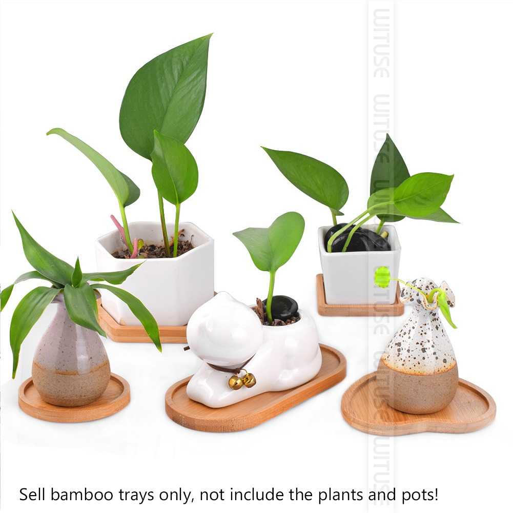 Tatakan Pot Kayu Alas Bunga Bamboo Tray Succulent Cactus Tempat Pot Bunga Tanaman Hias Material Bambu Berkualitas