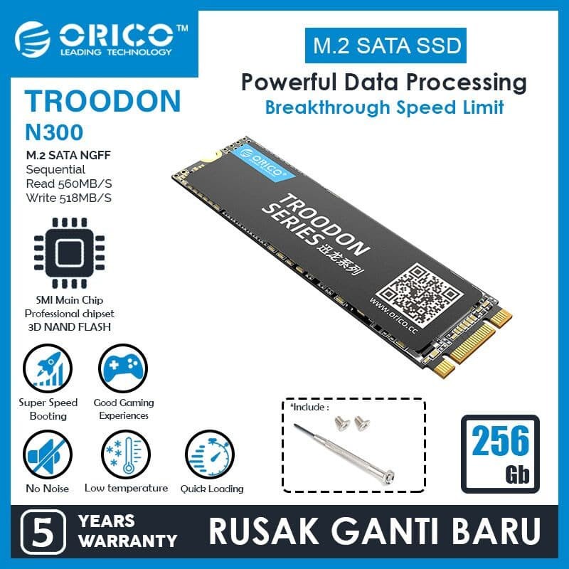 ORICO 256GB SSD M.2 SATA 2280 TROODON SERIES